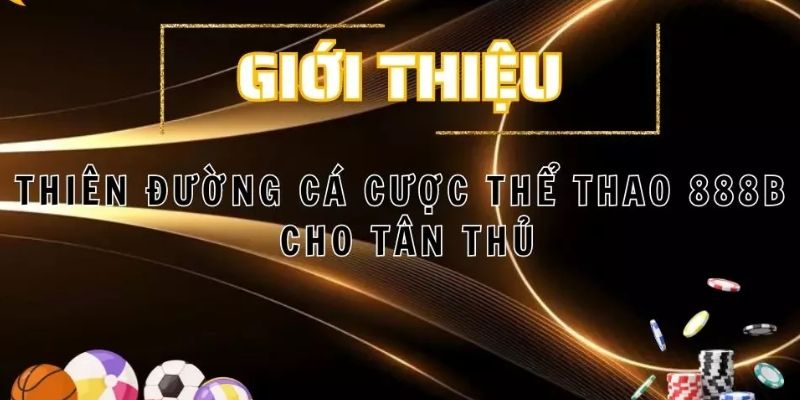 the-thao-888b-so-luoc-ve-nha-ca-cuoc-the-thao-888b-ma-ban-nen-biet-